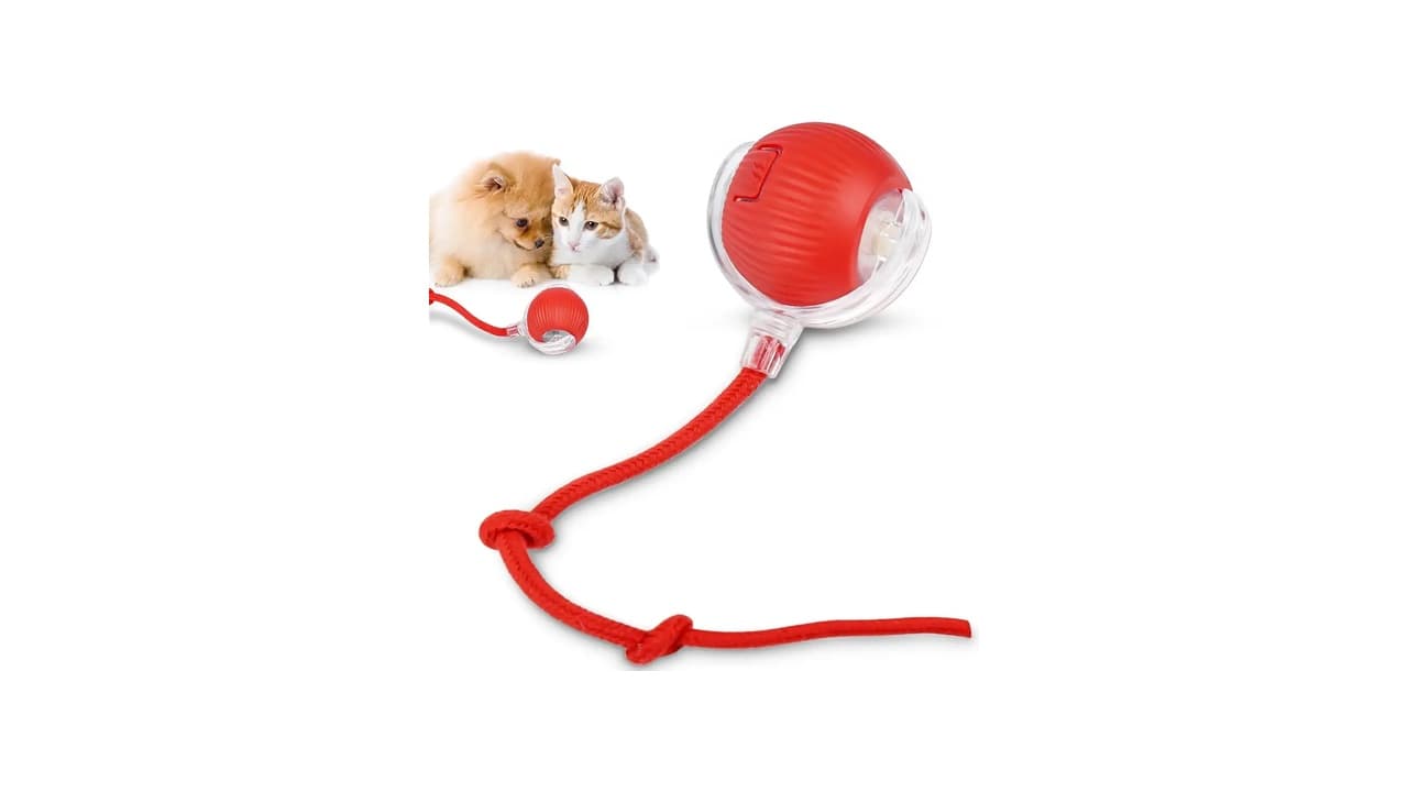 Melhor Brinquedo de Gato: Os 12 Modelos Mais Engajantes!