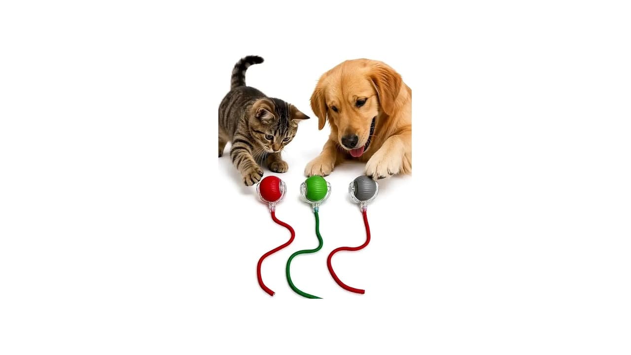 Melhor Brinquedo para Cachorro que Fica Sozinho: 10 Opções para Reduzir Ansiedade