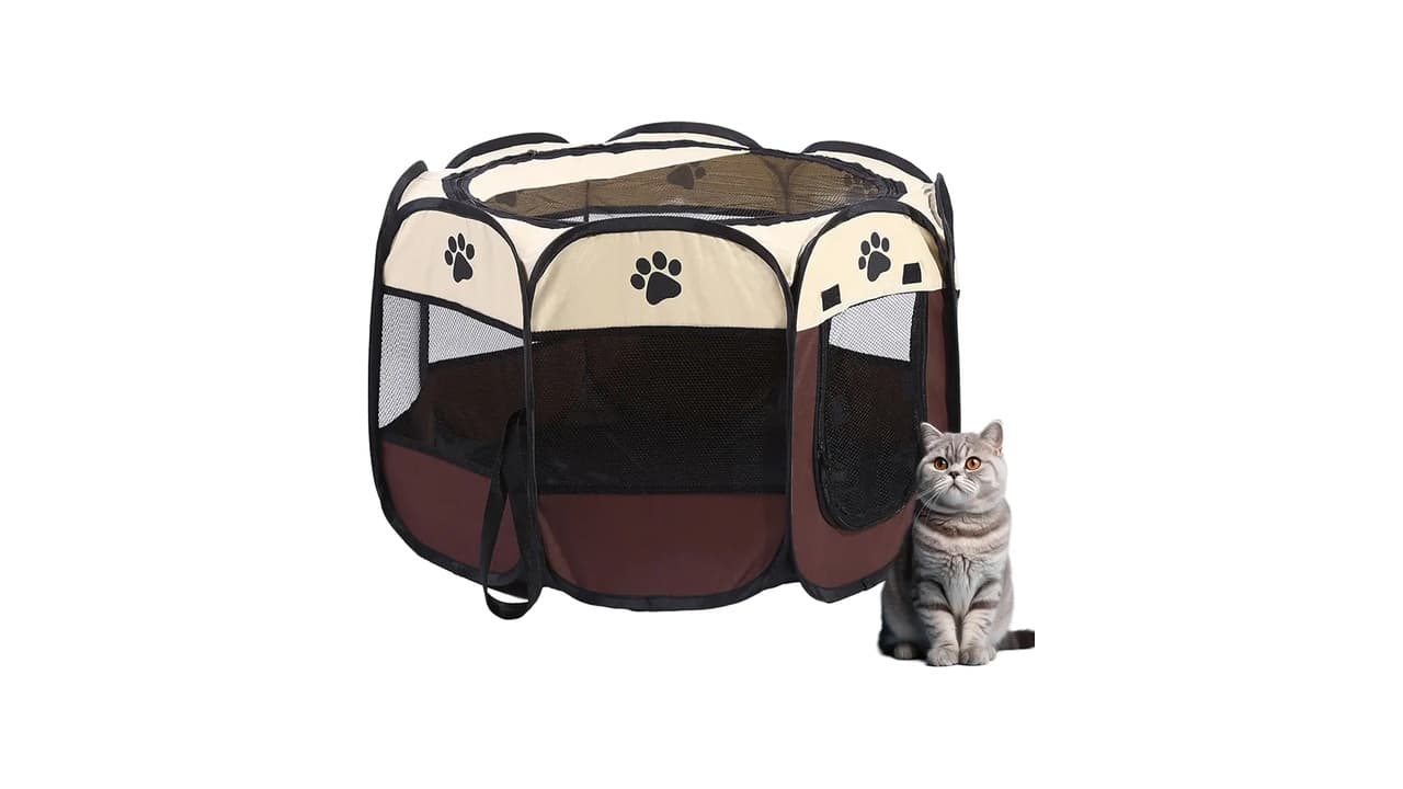 Melhor Cercado para Gato: Guia Completo para Segurança e Conforto