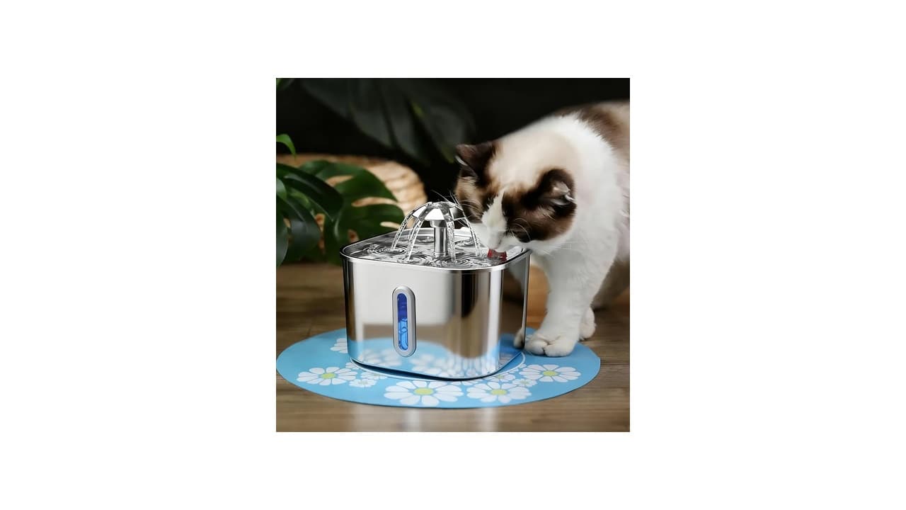Melhor Fonte de Água Automática para Gato: A Escolha Ideal para Hidratação Felina
