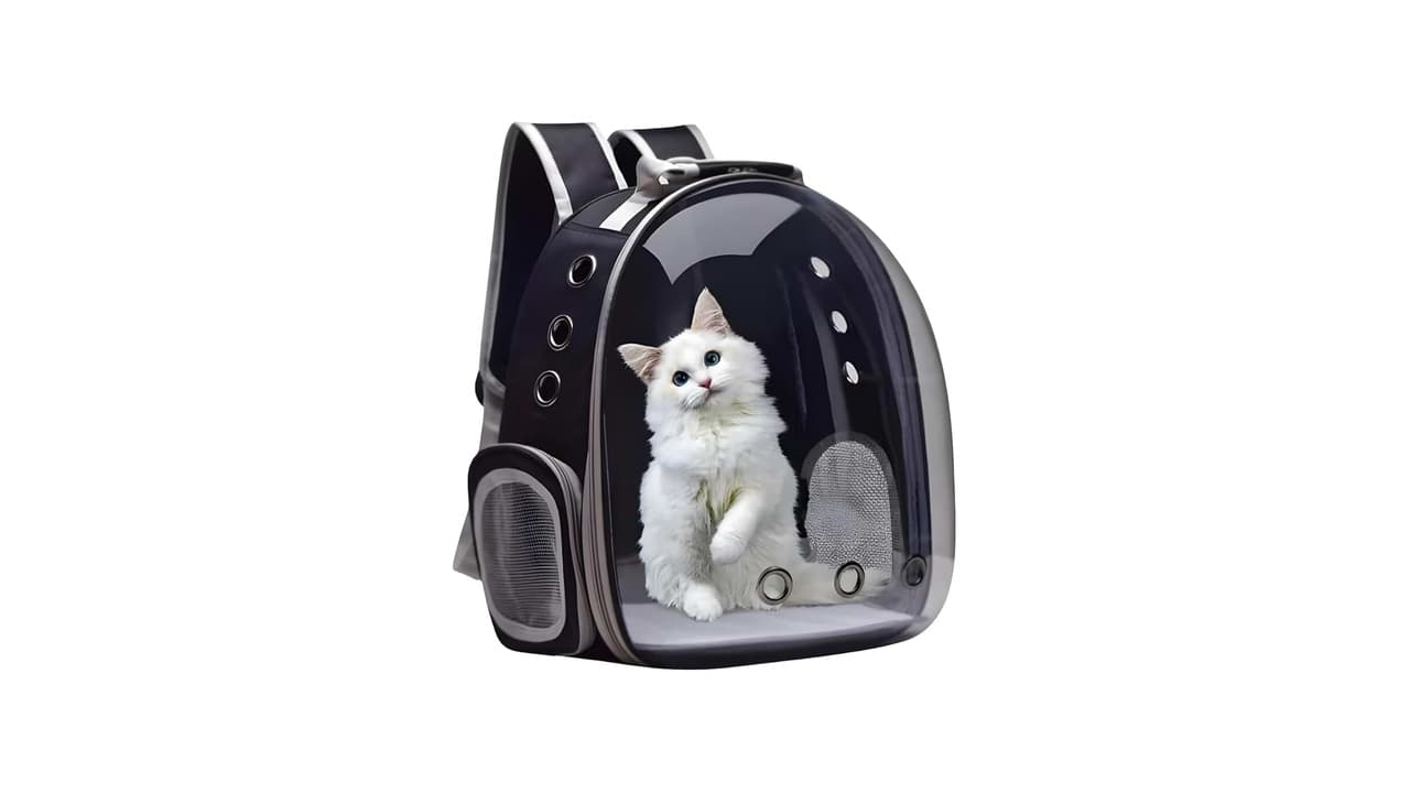 Melhor Mochila Transparente para Gato: 7 Modelos com Visão Panorâmica e Conforto