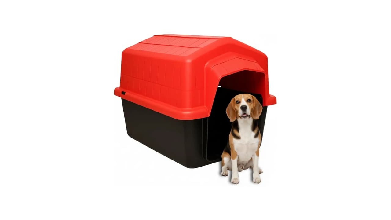 Melhor Casa para Cachorro: 10 Opções Resistentes e Confortáveis