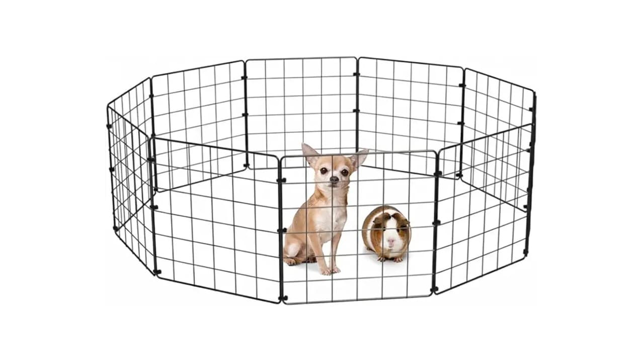 Melhor Cercado para Cachorro: 10 Opções Seguras e Práticas