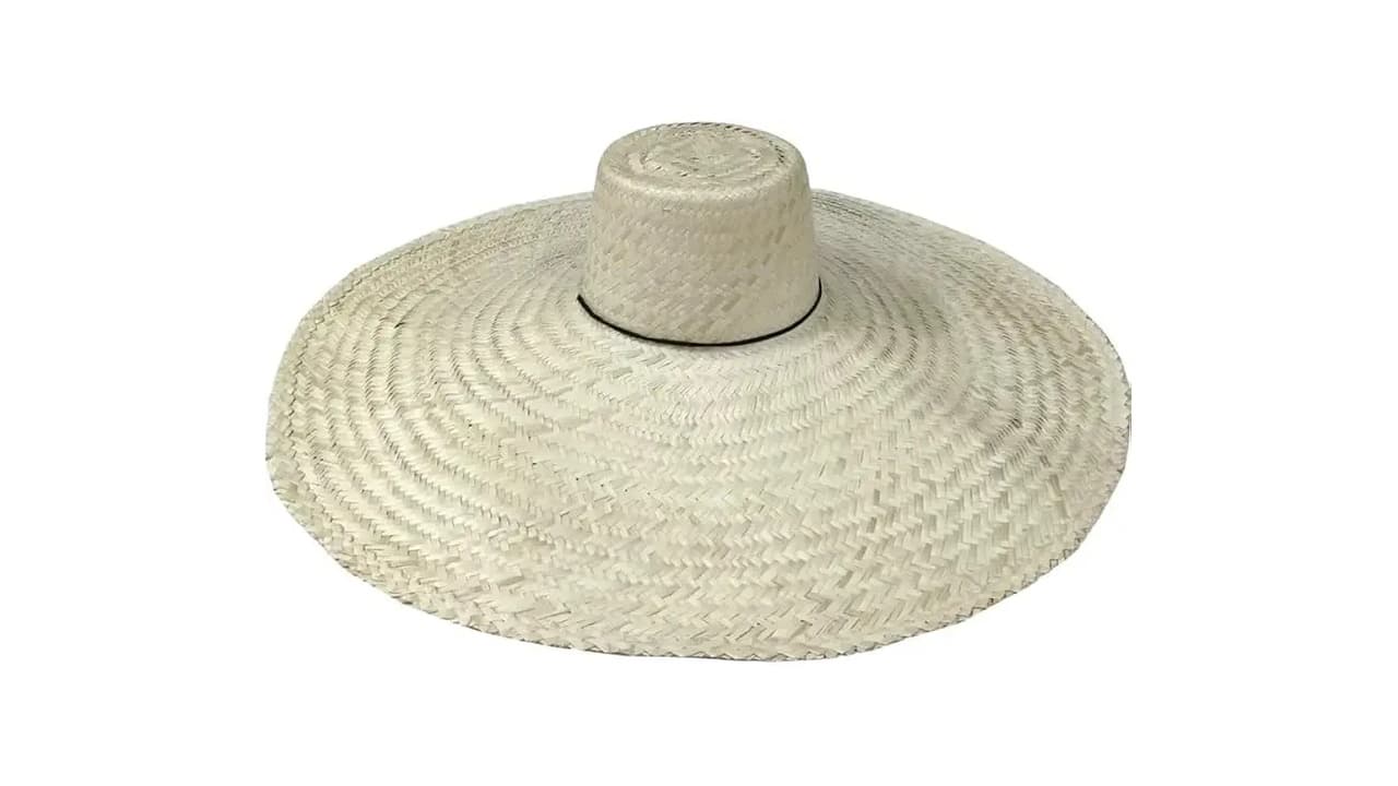 Melhor Chapéu de Palha: Guia Completo para Estilo e Conforto