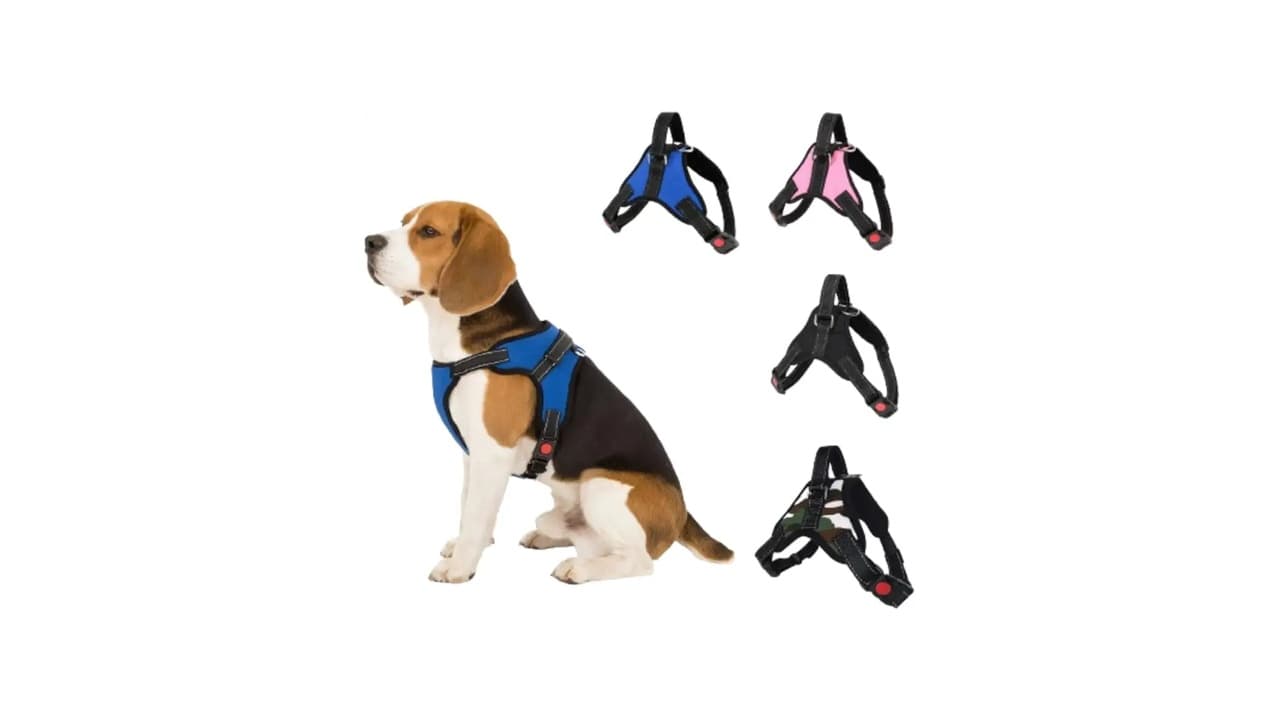 Melhor Coleira para Cachorro: Conforto e Segurança