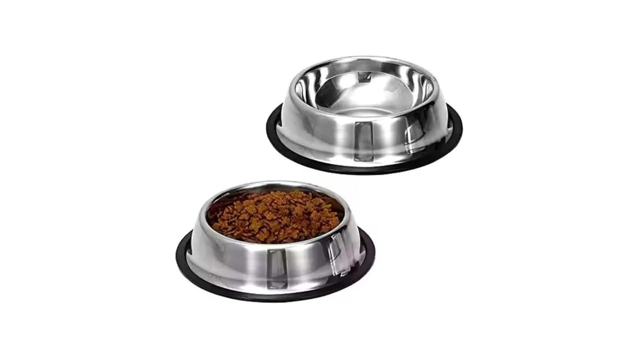 Melhor Comedouro para Cachorro: Escolha o Ideal em 2026