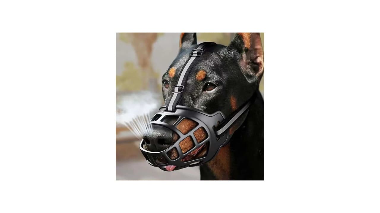 Melhor Focinheira para Cachorro: Segurança e Conforto