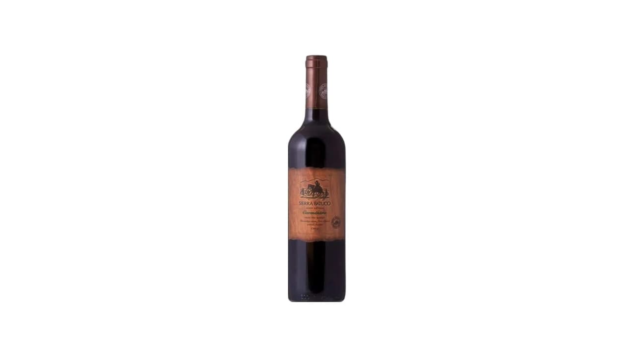 Qual o Melhor Vinho Carmenere? Guia Definitivo com 10 Opções Premium