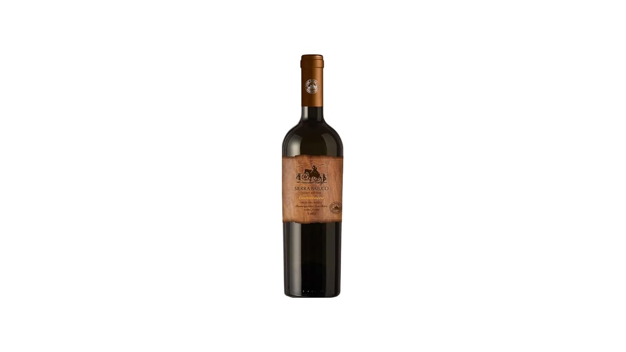 Melhor Vinho Chileno: 9 Vinhos Testeados para Harmonizar com Qualquer Prato